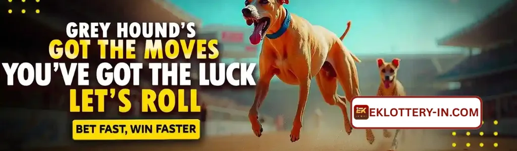 eklottery deposit and withdraw